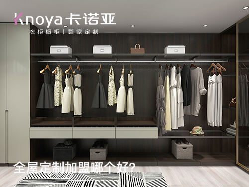 2023年辽宁全屋定制加盟选什么品牌好？